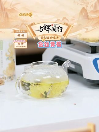 花丘金丝皇菊黄菊花茶一朵一杯礼盒装天然清香皇菊*1盒20g #菊花茶 #菊花 #花 #花茶 #好物推荐 @DOU+上热门 @DOU+小助手