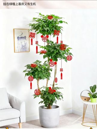 太好看了!!!这个爆闪迷你喜字结婚贴哪都好看! #婚房布置#婚庆用品#喜字贴G