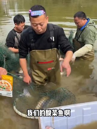 #户外抓鱼 #户外 #逮鱼摸虾 #小飞哥 #大表哥vlog sy8