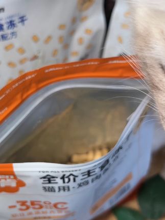 告别猫咪补营养烦恼!乐肯冻干让猫毛发亮 90% 肉含量 + 60% 粗蛋白,解决猫咪补营养难题#科学养宠攻略 #养猫新手 #萌宠vlog #猫咪