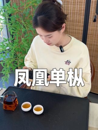 #凤凰单枞 #凤凰单枞鸭屎香 #送礼佳品 #召唤茶友