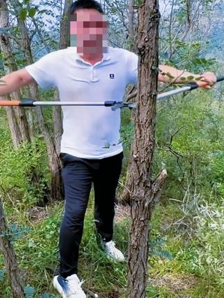 用上这款齿轮诺力大力剪,加厚铝合金手柄,可自由收缩剪切枝条,轻松又省力,树木见了都害怕的修剪利器,现在专业师傅平时都用这个修剪,非常省事省力,很好用,手柄是可以伸缩的,高枝用它修剪也是没问题