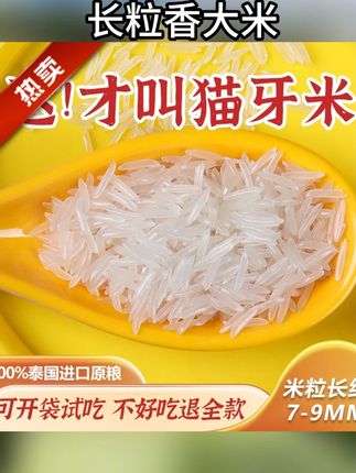 泰国香米正宗猫牙米长粒原粮进口茉莉香梯田新大米10斤5斤家庭装#泰国香米 #泰国香米推荐 #香米 #猫牙米 #猫牙米推荐