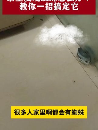 蜘蛛怎么消灭呢?怎么去除蜘蛛呢?#除虫小妙招 #蜘蛛