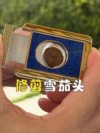 为什么雪茄在抽之前都要剪一下? #科普一下 #冷知识 #有趣的知识又增长了