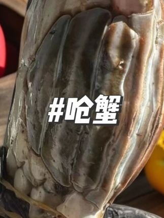 单只半斤左右精品黄膏大母蟹一卤鲜咸呛蟹羊口咸螃蟹3斤#呛蟹 #咸螃蟹 #大母蟹 #视频同款 #好物推荐
