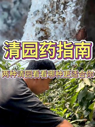 设施大樱桃两款清园药详细讲解 #大樱桃 #大樱桃种植管理 #果树清园 #三农种植