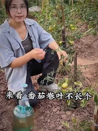#种植小技巧 #农业种植 #蔬菜种植 #菌立清 #我的乡村生活