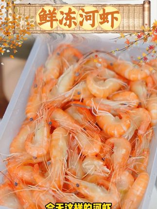 山野云陵农场鲜冻河虾液氮锁鲜每盒重660g虾净重500g(冰 #河虾 #鲜冻河虾 #虾 #农场 #锁鲜
