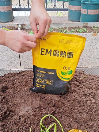 枯枝败叶我是怎么处理的 #种植小技巧 #肥料 #农业种植 #阳台种植 #我的菜园子