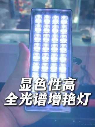 才二三十块钱,既能显色又能爆藻, 还是一个全光谱的鱼缸小夹灯 #鱼缸灯 #鱼缸夹灯 #鱼缸灯怎么选 #养鱼人 #鱼缸里的大自然
