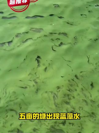 #水产 #水产养殖 #水产人