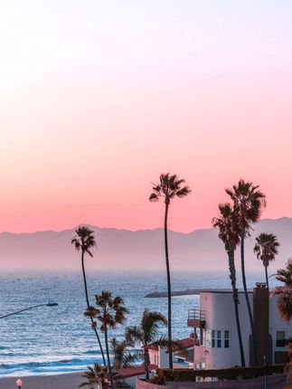 瑞贝香生物酶除味香氛空气清新厕所鞋柜汽车内饰宠物除臭除甲醛