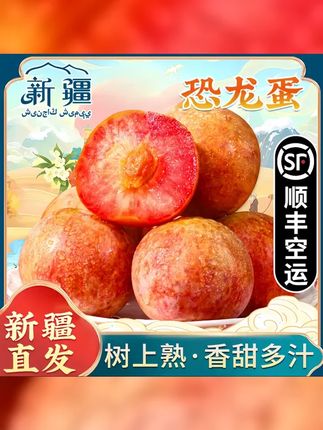 顺丰包邮 新疆恐龙蛋李子酸甜可口皮薄肉厚多汁现采新鲜水果 #新鲜当季水果 #超好吃 #恐龙蛋李子 #新疆恐龙蛋 #恐龙蛋