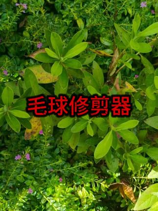 #毛球修剪器 #去毛球神器 #粘毛神器