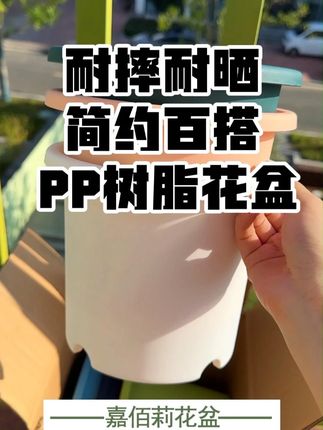 简约百搭又好用的花盆哪里去找?就在这里不要错过! #花卉绿植 #阳台种植 #花盆 #花盆推荐 #生活好物推荐