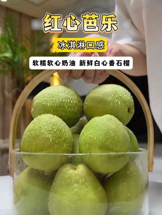 奶油芭乐,软糯香甜就像在吃冰淇淋#奶油芭乐 #软糯香甜 #新鲜应季水果 #红心芭乐 #奶油芭乐番石榴
