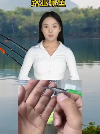 刺虫路亚日系经典叉尾鳜鱼X尾20条诱鱼柔软专攻鳜鱼_0712 路亚鳜鱼很容易把抬竿的手震麻,真的,一点都不骗人,这口太猛了! #鳜鱼顶水 #zbx窜条叉尾 #德米克青霜plus ++#路亚鳜鱼很容null