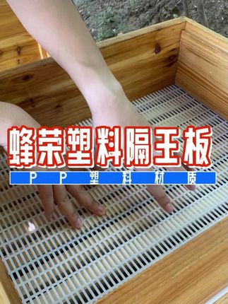 想要整张封盖蜜?隔王板你可少不了 #平面隔王板 #塑料隔王板 #中蜂隔王板 #意蜂隔王板 #蜂荣蜂具