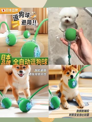 狗狗玩具自动遛狗球宠物小狗自嗨解闷耐咬电动智能逗狗跳跳球神器 #宠物用品 #萌宠日记 #养宠装备
