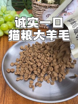 竟然薅到了诚实一口的黑金大羊毛#新手养猫 #猫粮 #萌宠好物 #超便宜超划算 #养猫经验分享
