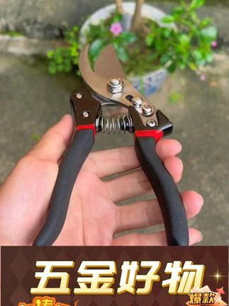 养花的宝子们看过来👀!今天必须给你们推荐这款超厉害的修枝剪 真心觉得每个养花人都需要一把这样的剪子,简直太实用了👏。#修枝剪推荐 #好物推荐🔥 #省力耐用 #家用果枝剪