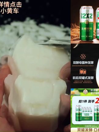 双合盛9°P五星原浆啤酒500ml*24听 中华老字号品牌原