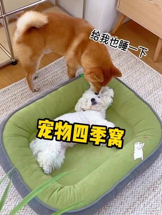 不纠结给毛孩子到底睡什么窝了,这个窝一年四季都能睡,也不怕毛孩子不爱睡窝,这个窝很柔软#萌宠好物 #猫窝 #狗窝 #抖in萌宠计划 #猫咪