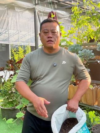 养花是不是总踩雷 问题就出在了土壤上 #种植小技巧 #种菜 #花卉绿植 #养花