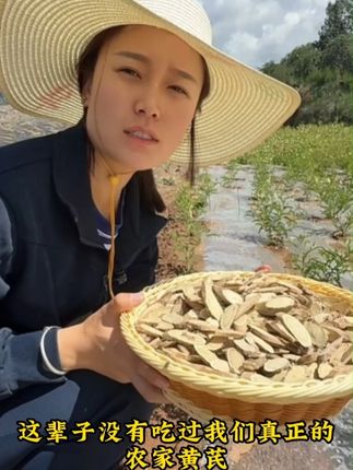 真正的农家黄芪啥样?西西:靠太阳晒,靠人工挖,靠你试吃来验! #黄芪 #黄土高原 #我的乡村生活 #新农人计划2025