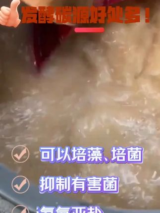 乳酸菌发酵好处多#水产养殖 #对虾养殖 #南美白对虾 #乳酸菌