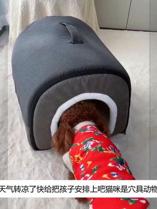 冬季多功能手提拉链款猫窝狗窝宠物窝加厚保暖宠物舒服小狗窝 #萌宠好物萌宠猫咪好物推荐