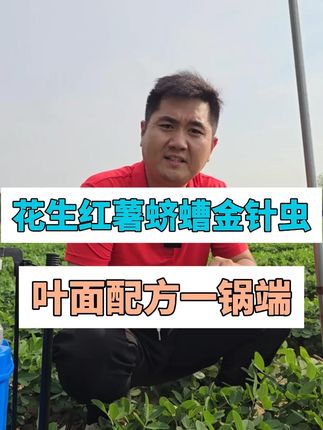 地下害虫还在用普通配方那你肯定打不住,试试这个升级版配方,地下害虫一遍搞定 #蝼蛄蛴螬 #地下害虫防治 #花生地蝼蛄