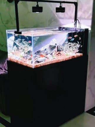 益科达LED全光谱水草灯超亮鱼缸专用照明#益科达水草灯 #全光谱水草灯 #鱼缸专用照明 #超亮水草灯 #原生溪流草缸灯