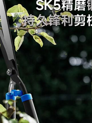 #园艺剪 郝邵文推荐多功能园林园艺剪草坪修剪篱笆绿篱茶树剪专业树枝园林手动大剪刀 #树枝剪 #修枝剪 #绿篱剪 #园林剪