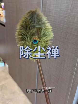 很多姐妹都喜欢的孔雀毛除尘掸,现在有货了哈!#孔雀毛除尘掸子 #除尘掸 #鸵鸟毛