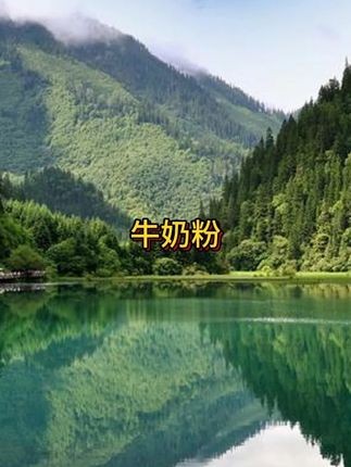 奶粉