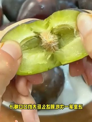 西梅#西梅 #水果 #好物分享 #好物推荐