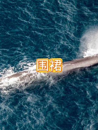 夏季薄款可擦手奶油风防水防污时尚家用真正防水围裙厨房围裙 夏季薄款可擦手奶油风防水防污时尚家用真正防水围裙厨房围裙