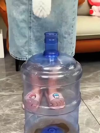 水桶清洁好帮手!加长加厚柄水桶刷子,大号水桶专用,刷洗桶装水轻松无压力,清洁超给力!