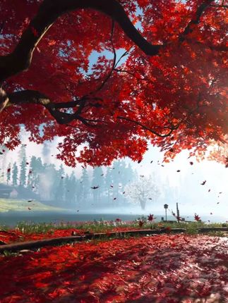 我们不是北极熊,却同样无家可归