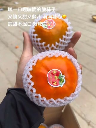 咬一口嘎嘣脆的脆柿子, 又脆又甜又多汁 满满糖心,纯甜不涩口 好吃哭了!#脆柿子  #柿子  #巧克力柿子  #现摘现发新鲜到家