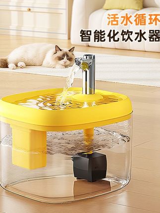 猫咪饮水机猫自动循环过滤饮水器狗狗喝水流动喂水神器宠物狗水碗#猫咪饮水机 #全自动过滤 #记录猫咪日常 #萌宠好物 #养猫人
