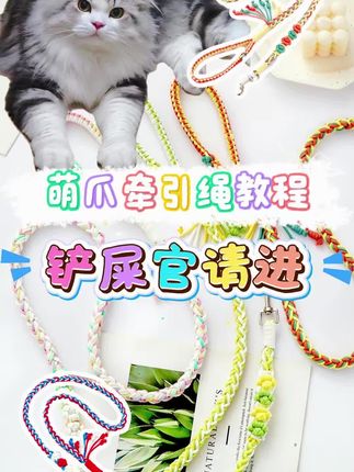 猫儿那个萌啊,萌猫配萌爪牵引绳 保姆级编织教程!怎么可以不给萌萌的毛孩子安排妈咪爹地亲手做的牵引绳呢#手工牵引绳 #宠物外出装备 #手工DIY #零基础 #手工日常