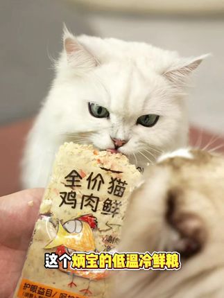 冷鲜粮猫饭鲜肉0添加 告别细软塌、掉毛、试试这个。#炳宝 #猫鲜粮 #养猫必买