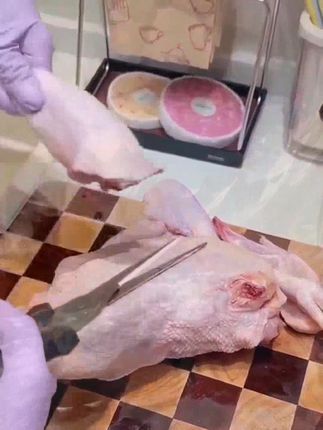 不锈钢厨房剪刀自动回弹冰箱磁吸多功能鸡骨剪家用刮鱼鳞强力剪