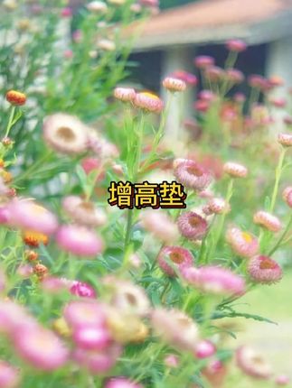 【四合一升级款】汽车扶手箱加长加厚跃立记忆棉增高垫通用型纸巾 车载四合一扶手箱增高垫#汽车用品 #车载好物 #男士神仙单品  #无限回购的宝藏单品  #在抖音入手的好东西