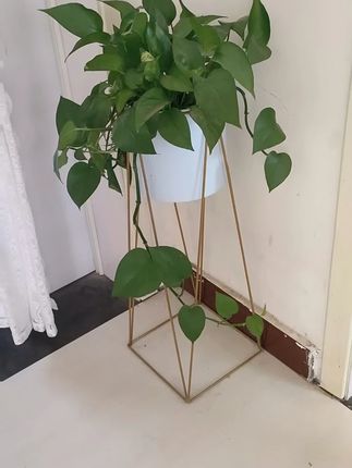 这款儿童滑板车可以让孩子从小玩到大,既能锻炼孩子的运动能力,又能提升他们的平衡力。宝宝能够从站立到骑行自由切换,而且采用的是可折叠设计,非常方便携带。家人们,新款儿童滑板车来了,这款是公主款的,还有男女溜溜车,可以坐,可以骑的三合一,一车多用太划算了!酷炫的灯光,晚上出去遛娃回头率超高!#萌娃骑车 #儿童平衡车 #儿童车 #童车玩具 #带娃神器