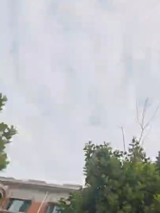 瓶子里的秋天手工DIY透明贴纸创意干花书签收集秋天树叶花瓣标本#贴纸 #透明贴纸 #贴纸推荐 #贴纸分享 #贴纸种草