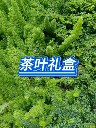 #茶叶礼盒  #茶叶  #好物推荐